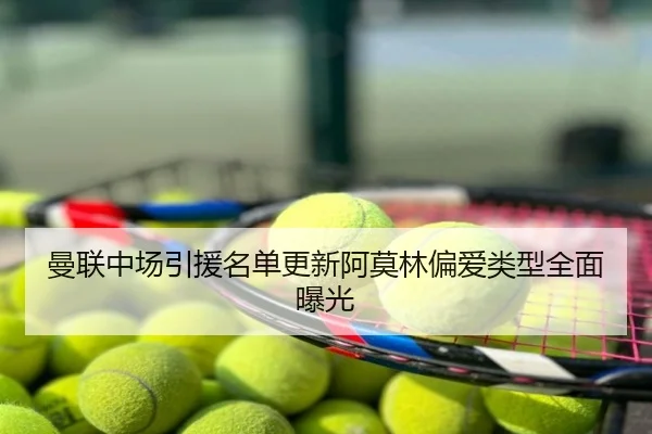 曼联中场引援名单更新阿莫林偏爱类型全面曝光